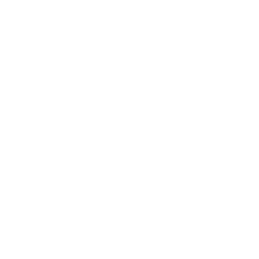 Software Development