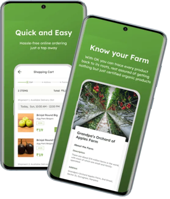 Organic Kitchen Case Study