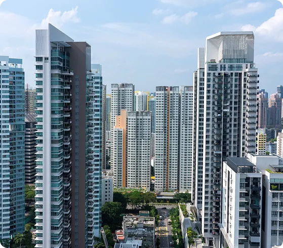 Real Estate Developer