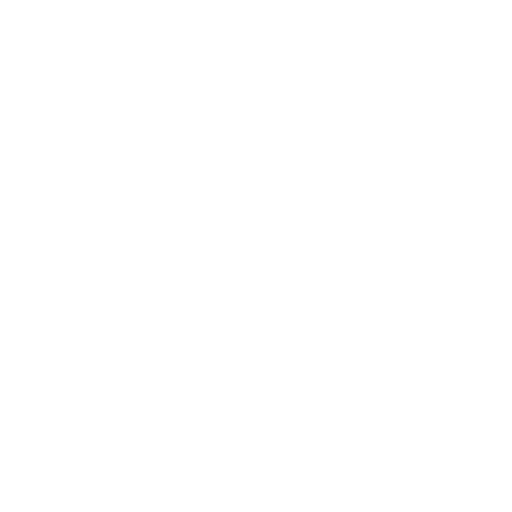 Software Development